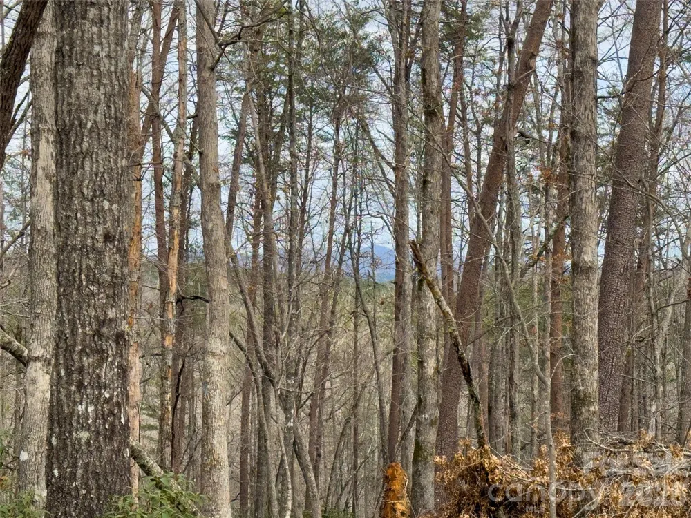 Lots 4-7 Carmel Ridge Rutherfordton, NC 28139