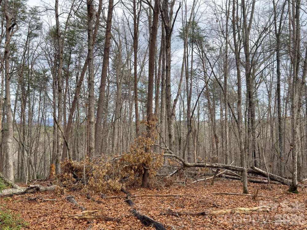 Lots 4-7 Carmel Ridge Rutherfordton, NC 28139