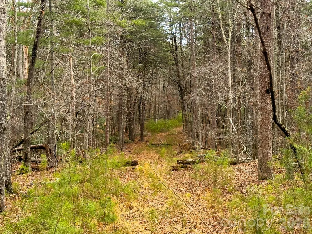Lots 4-7 Carmel Ridge Rutherfordton, NC 28139