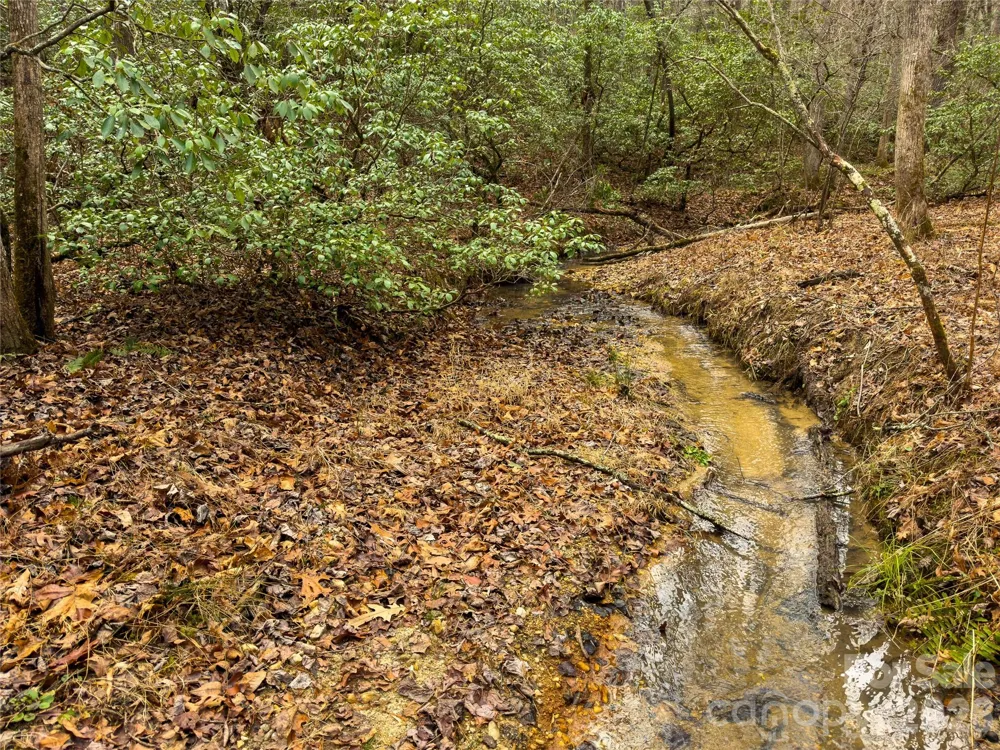 Lots 4-7 Carmel Ridge Rutherfordton, NC 28139