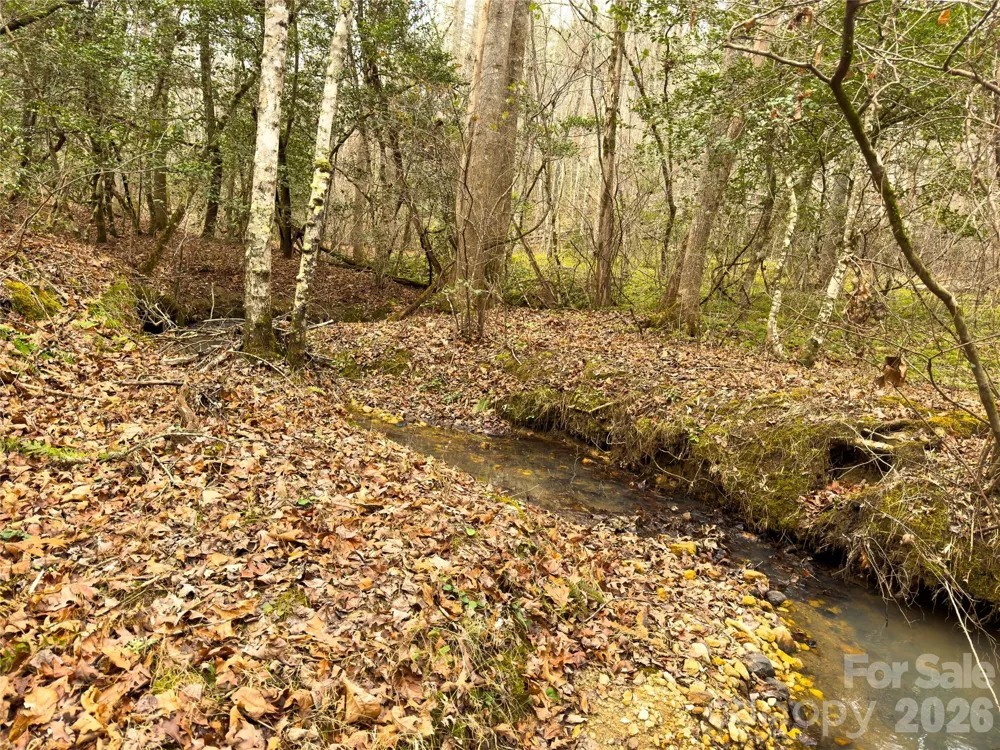 Lots 4-7 Carmel Ridge Rutherfordton, NC 28139
