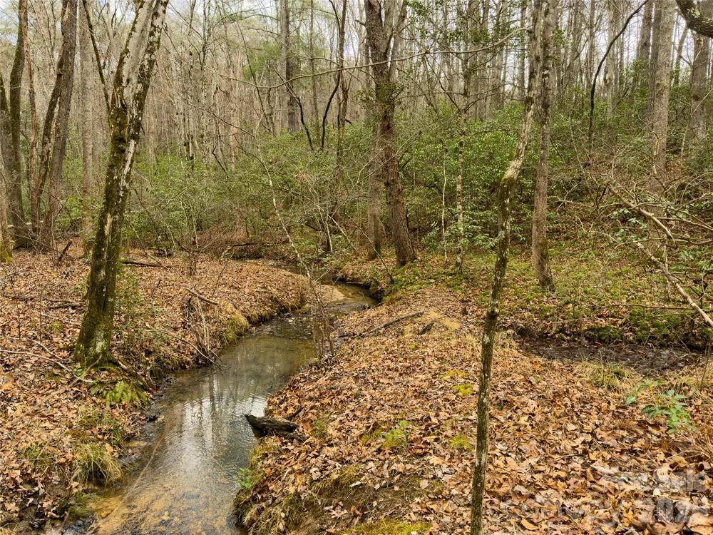 Lots 4-7 Carmel Ridge Rutherfordton, NC 28139
