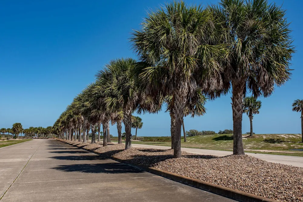 296 E Lago Loop Road Port O Connor, TX 77982