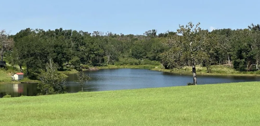 Horseshoe Lake Ranch Marquez, TX 77865