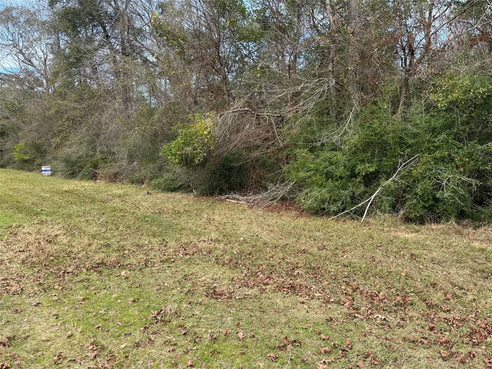 Good Pasture Thicket, TX 77374