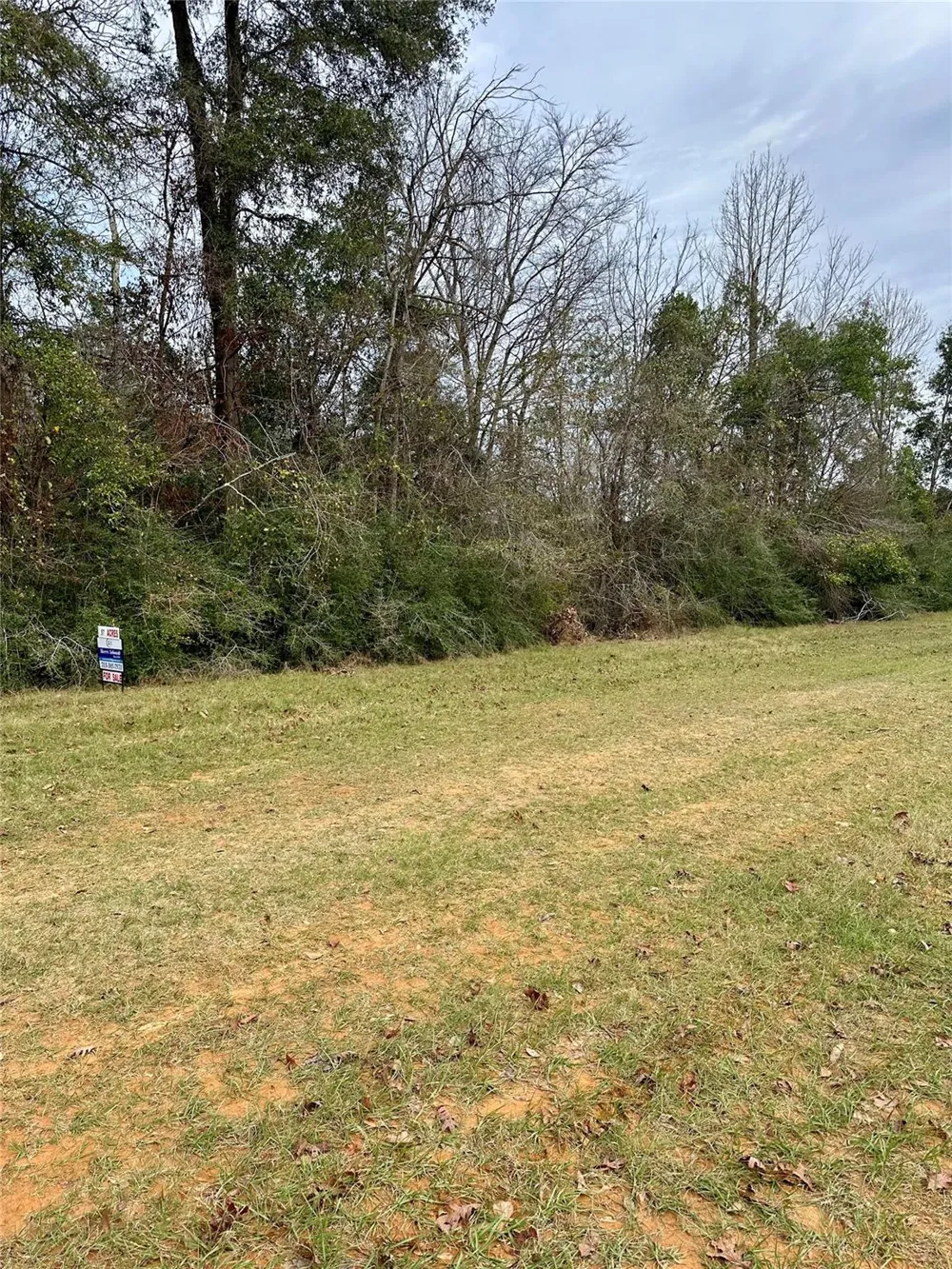Good Pasture Thicket, TX 77374