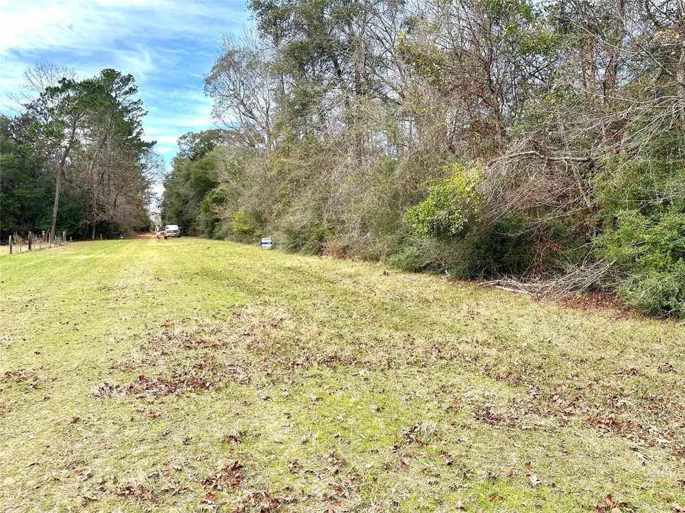Good Pasture Thicket, TX 77374