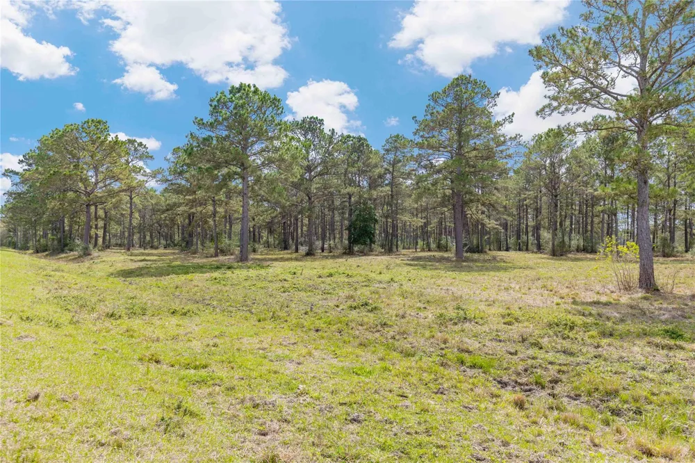 126 Highway 61 Devers, TX 77538