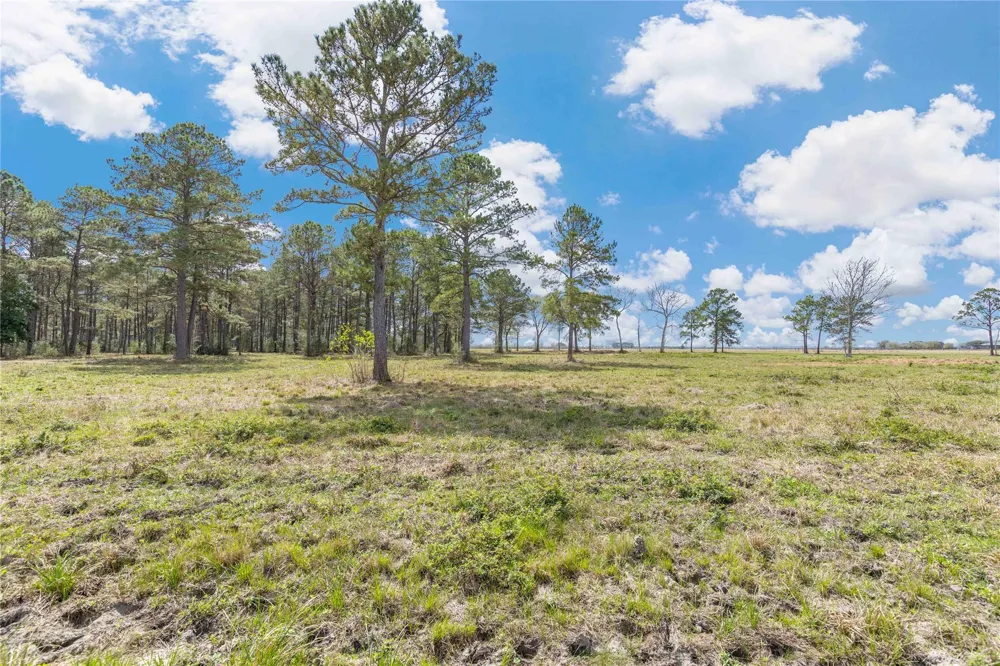 126 Highway 61 Devers, TX 77538
