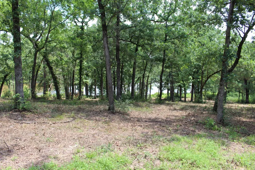159 Private Road 1311 Centerville, TX 75833