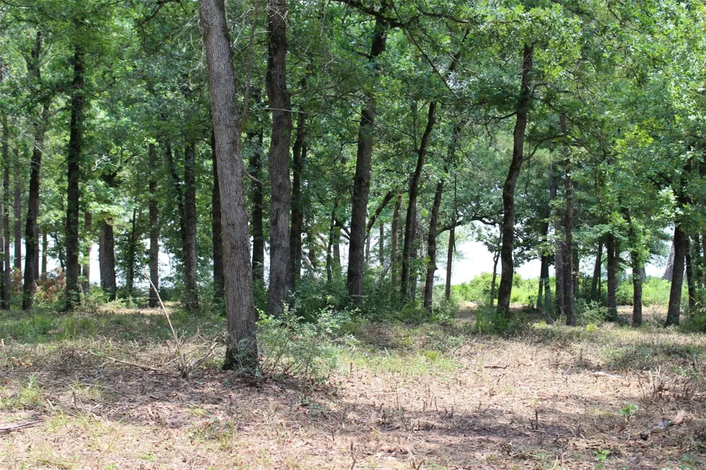 159 Private Road 1311 Centerville, TX 75833