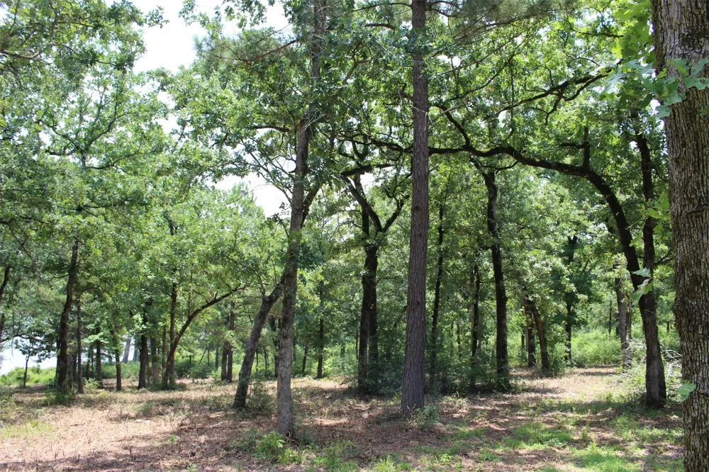 159 Private Road 1311 Centerville, TX 75833