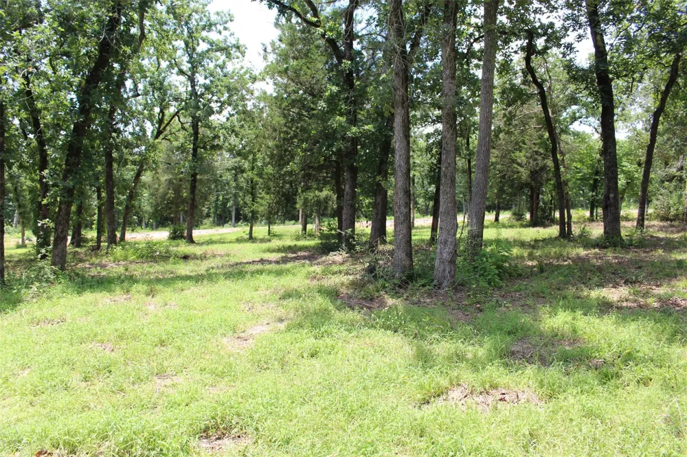 159 Private Road 1311 Centerville, TX 75833