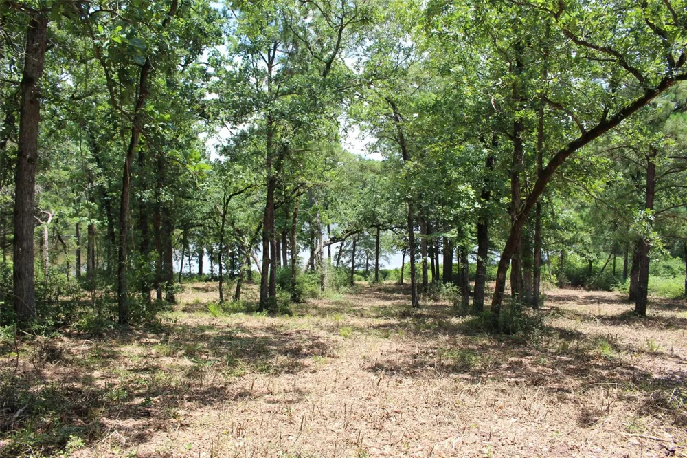 159 Private Road 1311 Centerville, TX 75833
