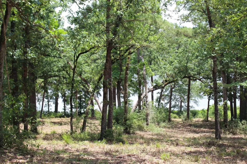 159 Private Road 1311 Centerville, TX 75833