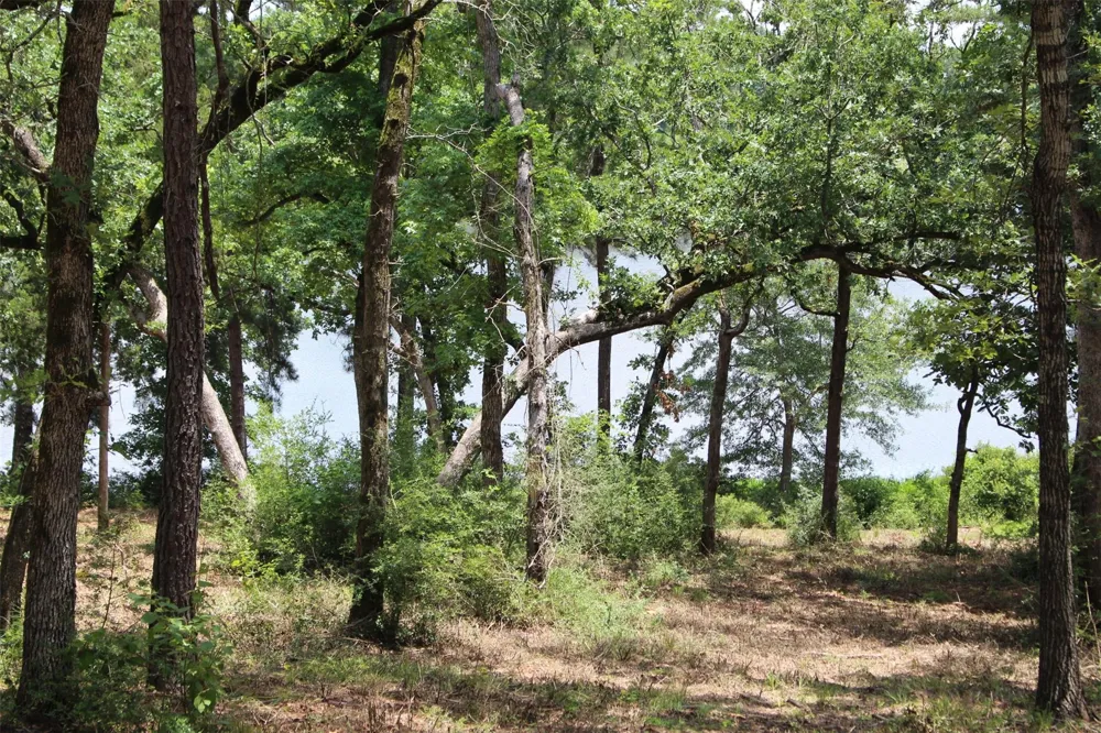 159 Private Road 1311 Centerville, TX 75833