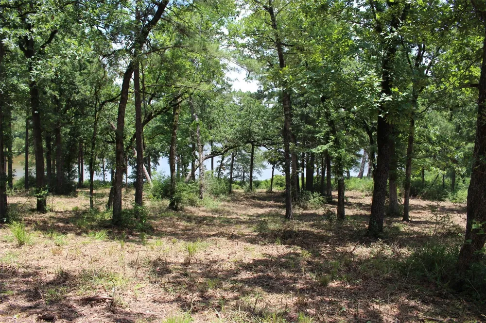 159 Private Road 1311 Centerville, TX 75833
