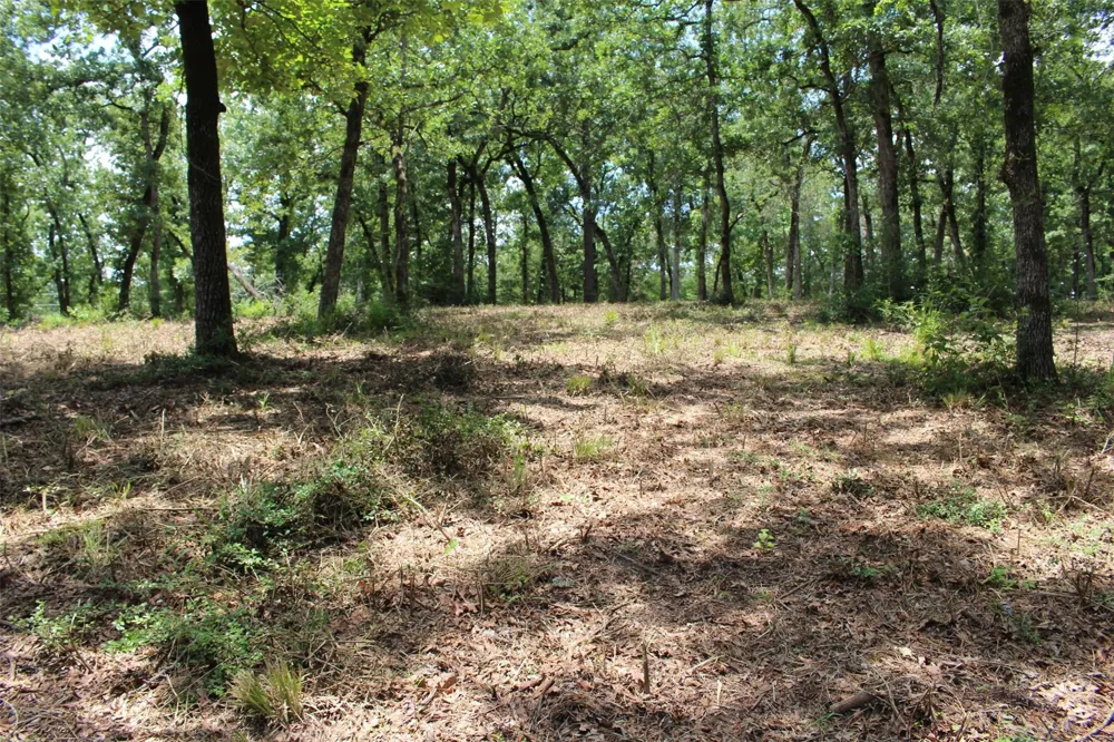 159 Private Road 1311 Centerville, TX 75833