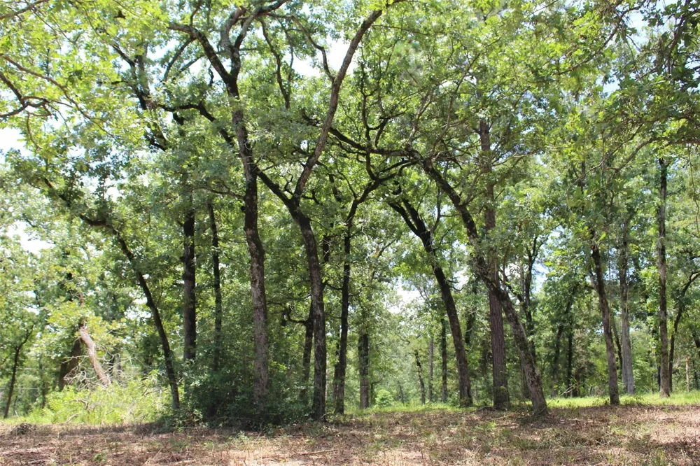 159 Private Road 1311 Centerville, TX 75833