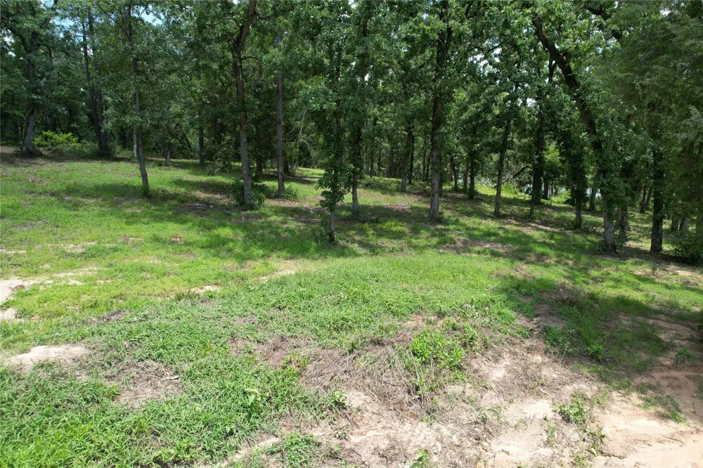 159 Private Road 1311 Centerville, TX 75833