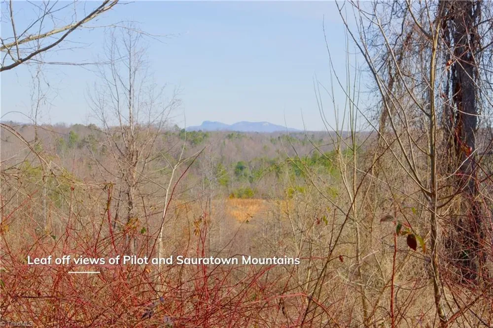 5 Roby Fulk Road Pinnacle, NC 27043