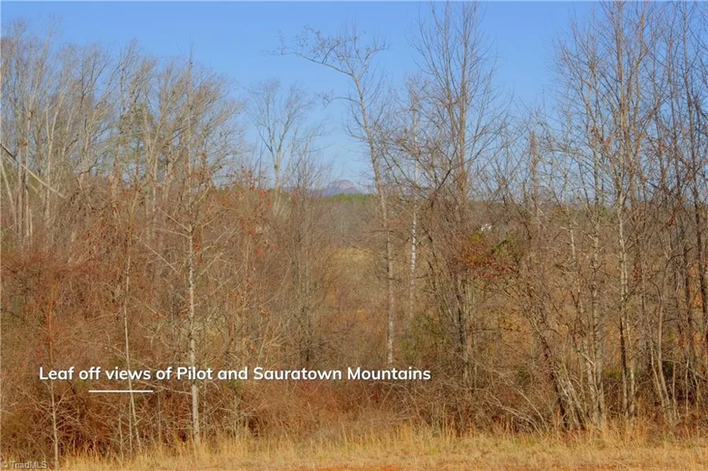 5 Roby Fulk Road Pinnacle, NC 27043
