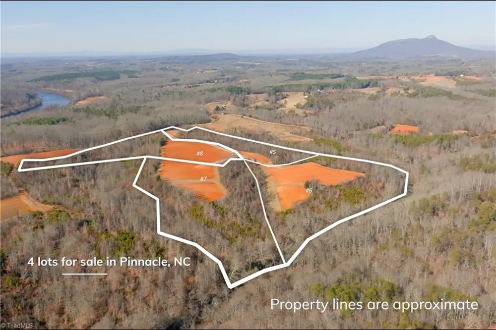 5 Roby Fulk Road Pinnacle, NC 27043