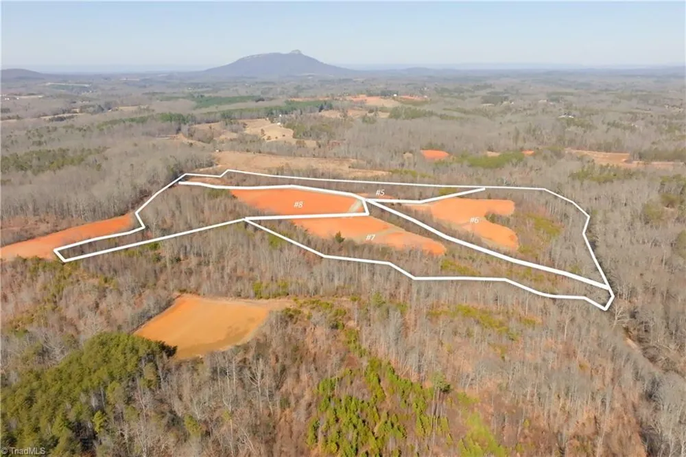 5 Roby Fulk Road Pinnacle, NC 27043