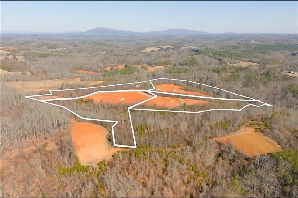 5 Roby Fulk Road Pinnacle, NC 27043