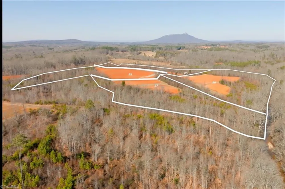 5 Roby Fulk Road Pinnacle, NC 27043