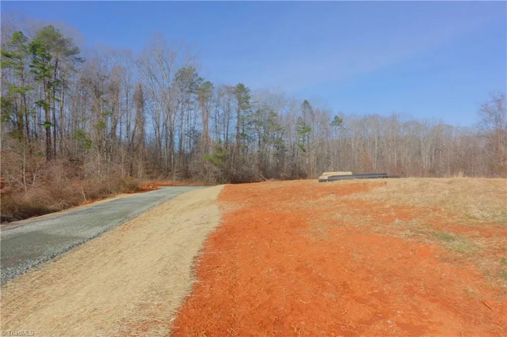 5 Roby Fulk Road Pinnacle, NC 27043
