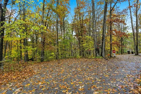 Lot 20 Ridgeway Drive