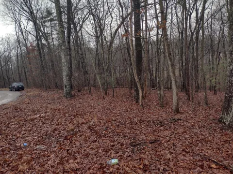 White Oak Circle