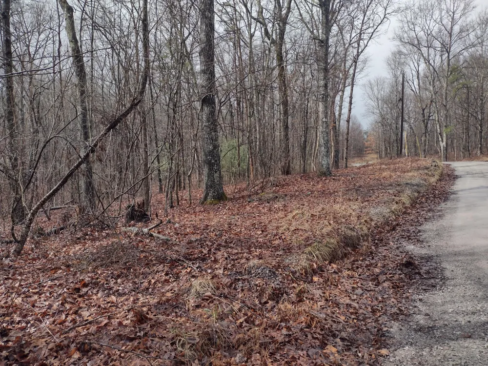 White Oak Circle Spring City, TN 37381