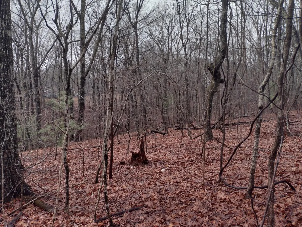 White Oak Circle Spring City, TN 37381