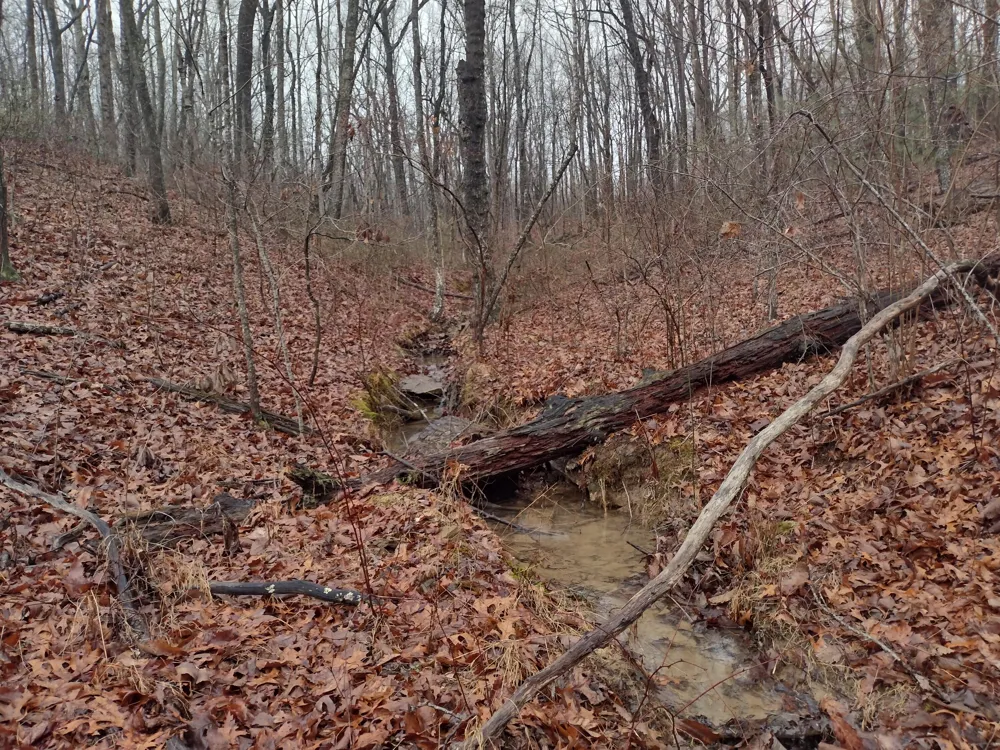 White Oak Circle Spring City, TN 37381