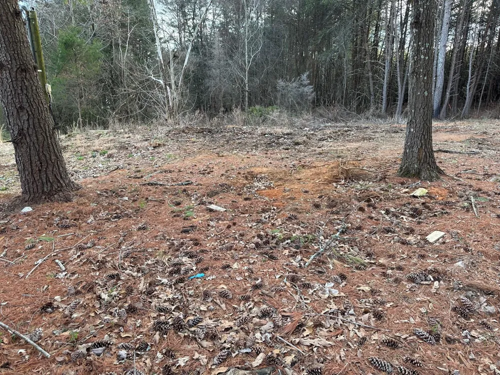 1285 Dyer Road Evensville, TN 37332