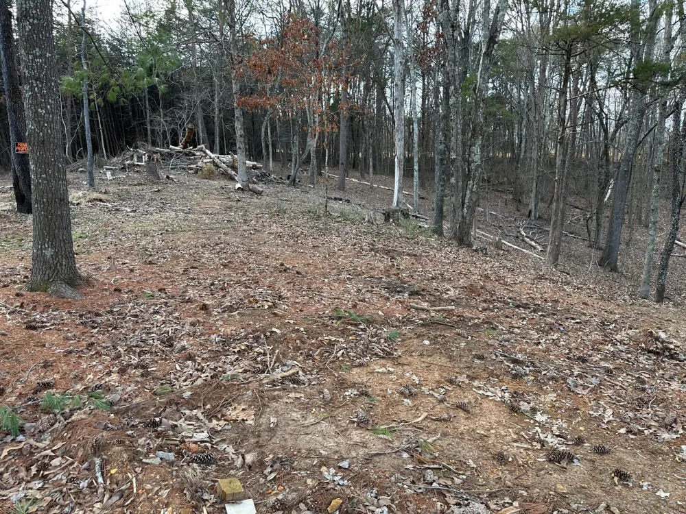 1285 Dyer Road Evensville, TN 37332