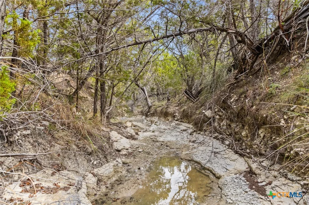 1600 Brushy Ridge Trail Blanco, TX 78606