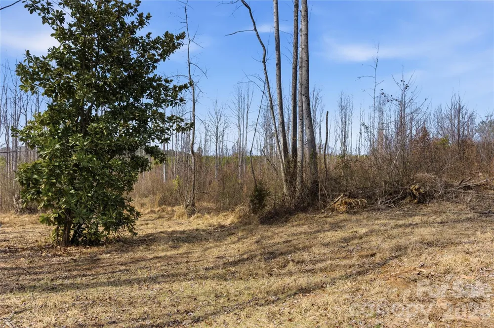 00 MCCURRY FARM LANE #D Lincolnton, NC 28092