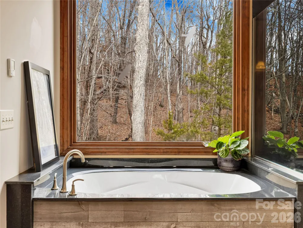 184 Deep Woods Lane Saluda, NC 28773