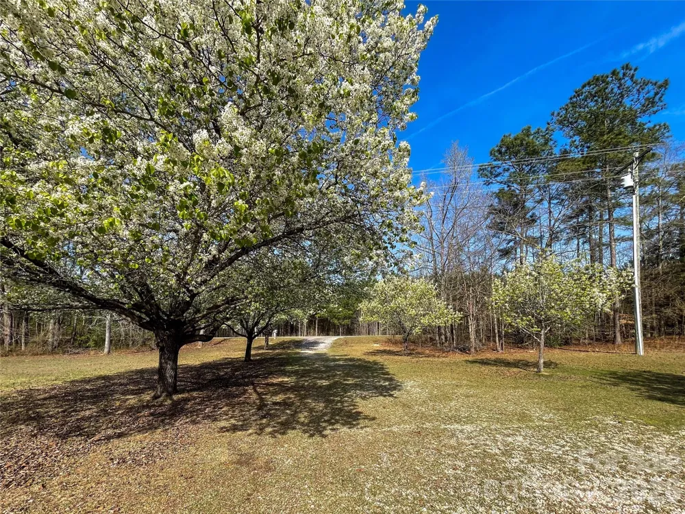 3271 Ebenezer Church Road Camden, SC 29020