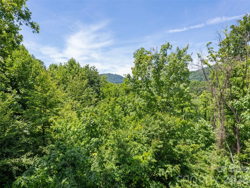 288 Ironwood Drive Clyde, NC 28721