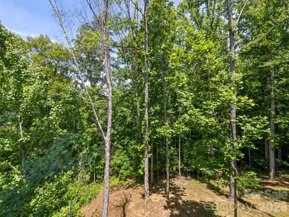 288 Ironwood Drive Clyde, NC 28721