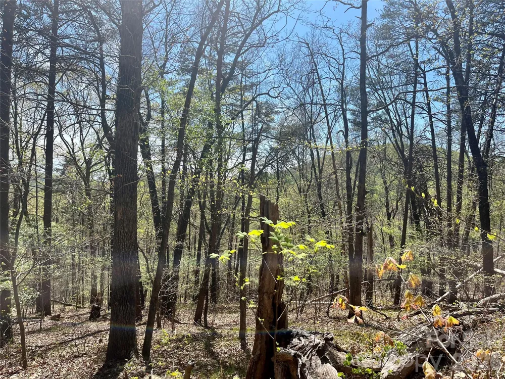 0 Pilgrim Church Road Hiddenite, NC 28636
