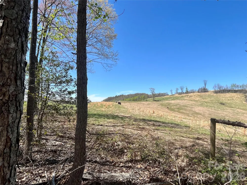 0 Pilgrim Church Road Hiddenite, NC 28636