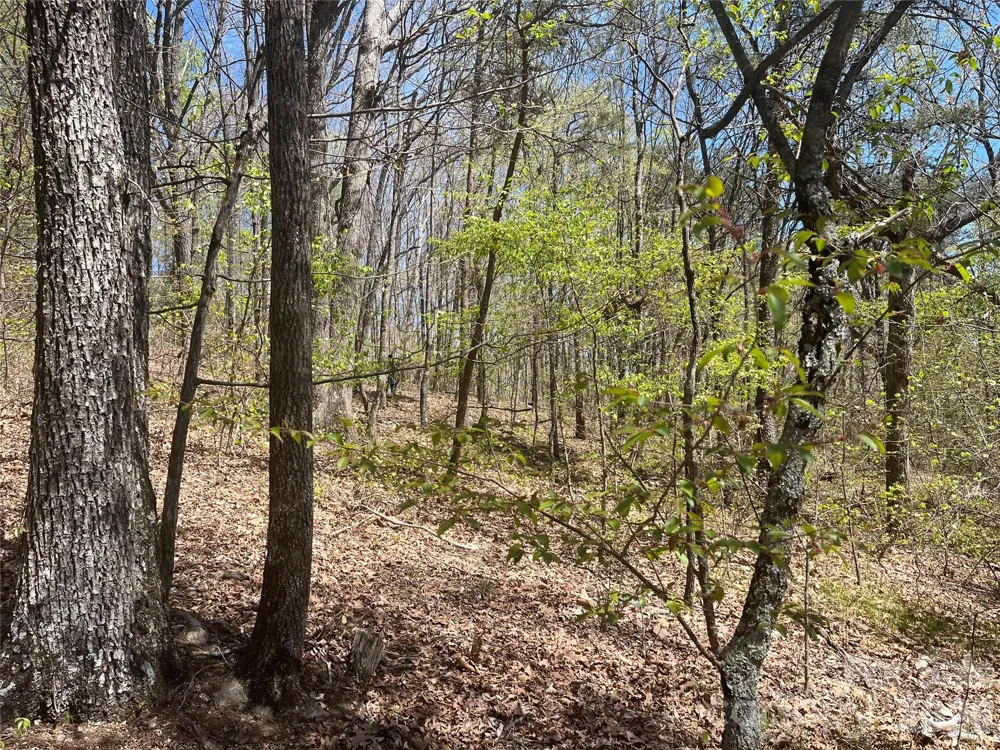 0 Pilgrim Church Road Hiddenite, NC 28636