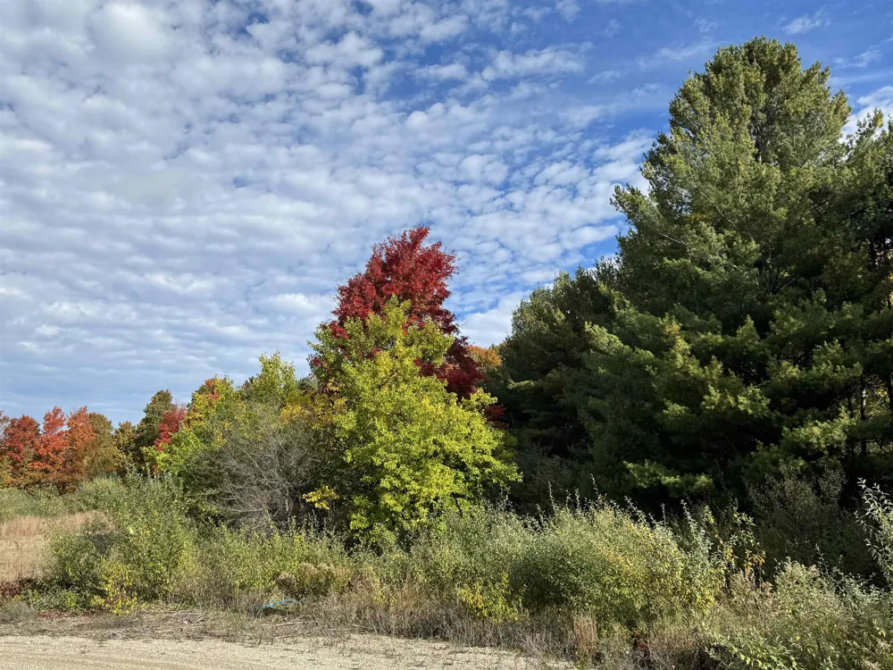 January Drive Garfield Charter Township, MI 49684
