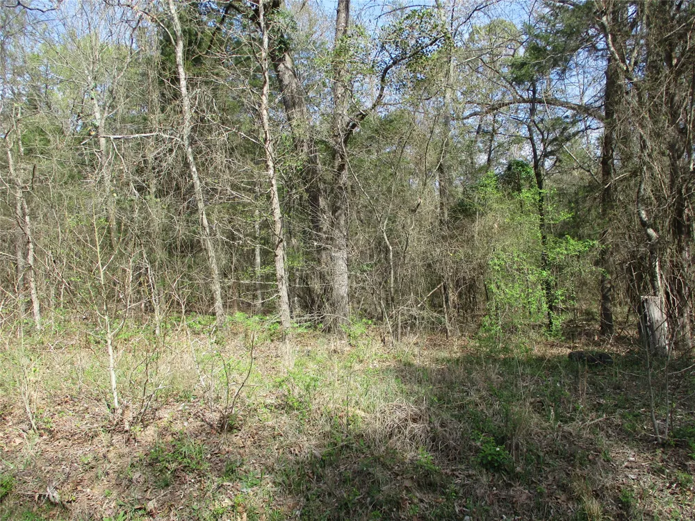 County Road 2958 Alba, TX 75410