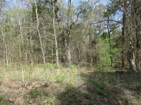 County Road 2958